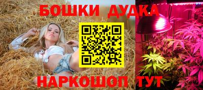 индика Ливны